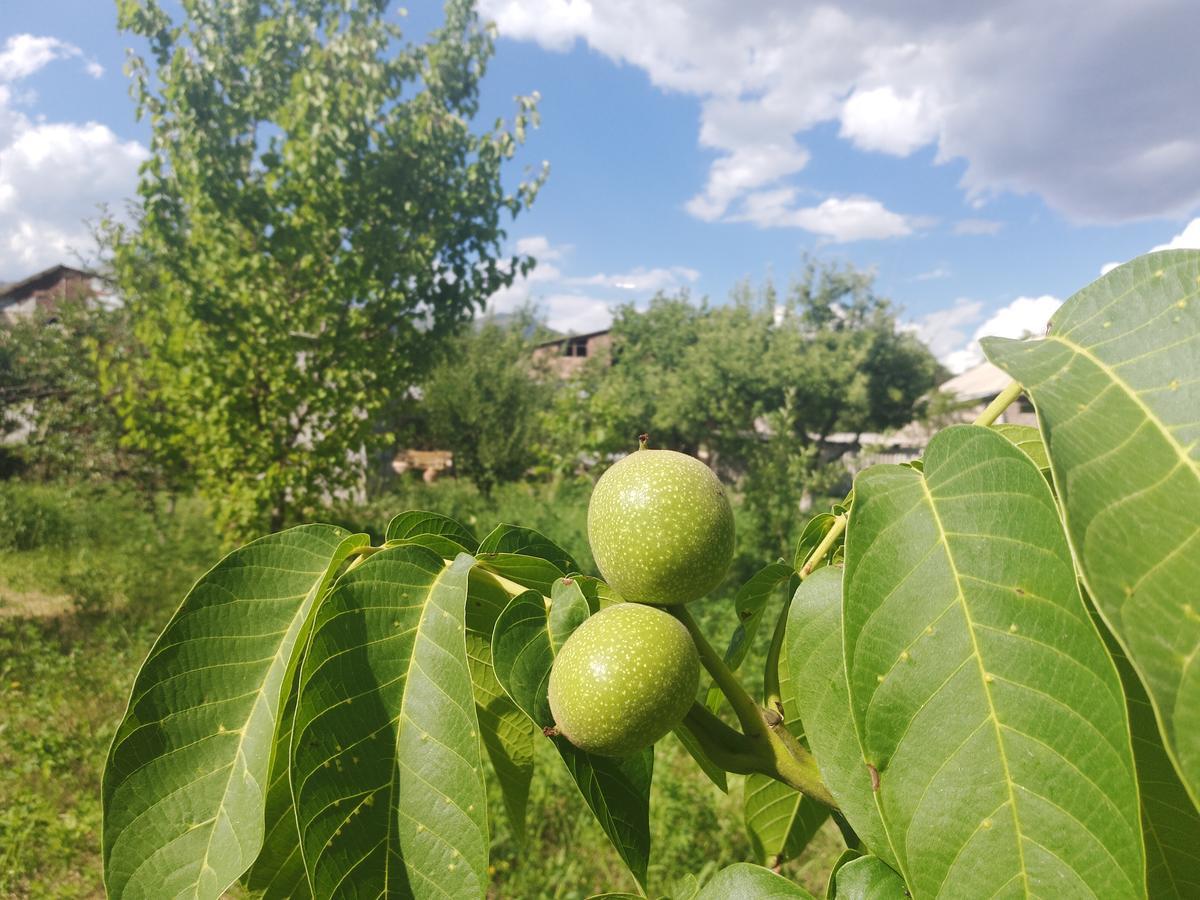 Gayane&Khikar B&B Chʼiva Dış mekan fotoğraf