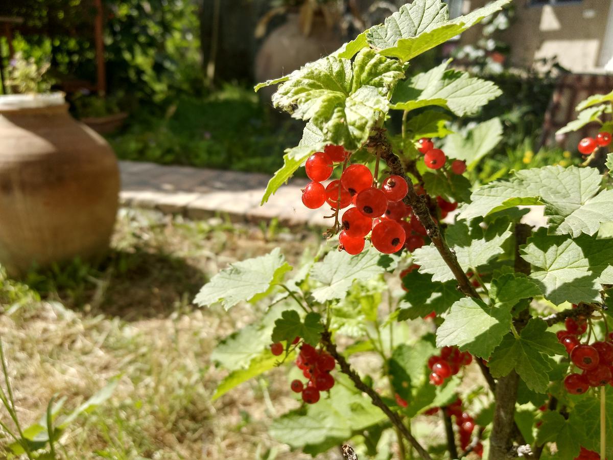 Gayane&Khikar B&B Chʼiva Dış mekan fotoğraf