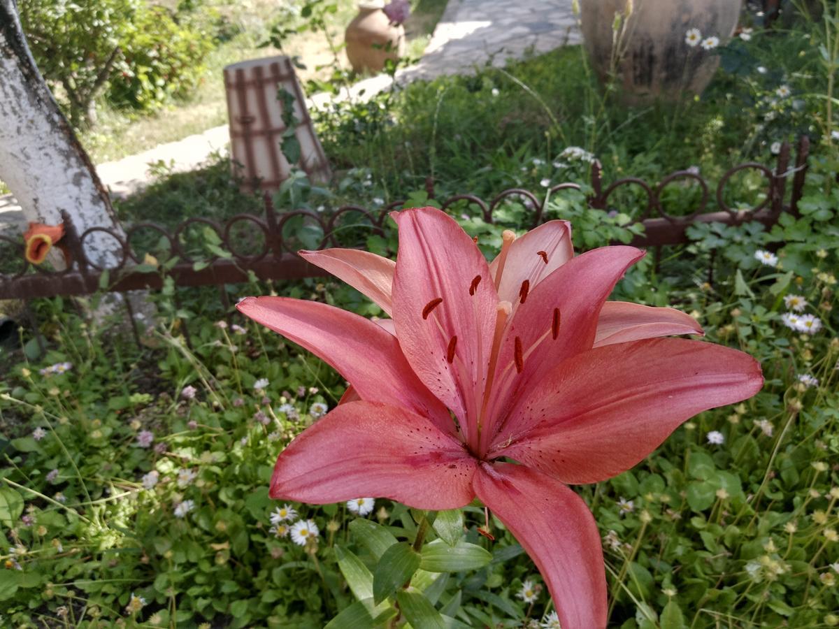 Gayane&Khikar B&B Chʼiva Dış mekan fotoğraf